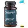 Bios Line Principium Magnesio Completo in polvere 400 gr