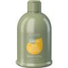 ALTEREGO Alter Ego Silk Oil Shampoo Effetto Seta Anti Crespo Capelli 300/950ml
