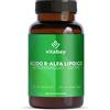 vitabay Acido R Alfa Lipoico 300 mg 120 capsule vegane Alpha Lipoic Acid ad alto