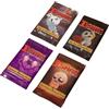 Maestro Media Ventures | The Binding Of Isaac Four Souls Booster Pack Bundle | Bundle Booster Per Gioco Di Carte | 1-4 Giocatori | 30-60 Min