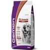 Monge Gemon Medium Adult Crocchette per Cani con Agnello e Riso - 15kg