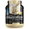 NET Integratori ISOLATE PRO Grass Fed 700g Vaniglia Proteine Isolate Con EAA