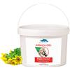 bleu & marine Bretania Arnica Gel FORTE & Concentrato 90% di Estratto di Arnica BIO da Agricoltura