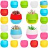 Per Mini Vasi in Plastica 2,8 Pollici da 30 per Terrari e Piante da S