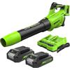 Greenworks Tools 48V(24V x 2）Soffiatore Assiale a Batteria Ioni di Litio