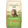 Lifelong by Amazon Complete - Alimento Secco Completo Per Gatti Adulti Ricco In Pollo E R