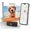 Weenect Dog XS - Localizzatore GPS per cani | Mini localizzatore GPS in tempo re