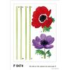 AG Design Adesivi da Parete F 0474 Papaveri