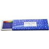 Study Time Pastelli ad olio (confezione da 24)