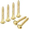 Viti a testa tonda in ottone (M3 x 20mm) 60 pz - Autofilettanti per slotted