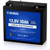 DC HOUSE DCHOUSE 12V 30Ah Mini LiFePO4 Batteria al Litio Bassa Temperatura Cut Off 30A