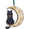 Nemesis Now Lisa Parker Moon Black Cat Hanging Ornament Decoration 9cm, Resin, L