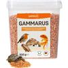 petifool Gammarus 550 g Granchi di pulci di Bach spuntino sano per tartarughe