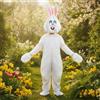 Costume Da Lepre Con Copricapo, Morbido E Coccoloso, Costume Da Lepre, Costume