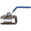 RIEGLER 103426-398.05 - Valvola a sfera in acciaio inox, 1 pezzo, portata ridotta, G 3/4, 1 pezzo