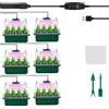 Zqx XVZ Semenzaio,Germogliatore,Grow Box,mini Serra da Interno,Serra Idroponica,6 Pe