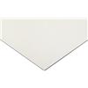 RS PRO Piastra in plastica incolore, 305 x 625 x 1,5 mm, confezione da 3