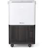Deumidificatore D'Aria Silenzioso 10L/Giorno per Ambienti Max 15m² - 1,7 Litri