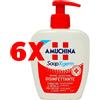 AMUCHINA 6 X AMUCHINA Sapone Liquido Disinfettante per Mani 250 ml
