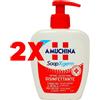 AMUCHINA 2 X AMUCHINA Sapone Liquido Disinfettante per Mani 250 ml