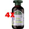ANTICAERBORISTERIA 4 X Shampoo Illuminante Lavanda Antica Erboristeria 250 ml Capelli Normali