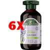 ANTICAERBORISTERIA 6 X Shampoo Illuminante Lavanda Antica Erboristeria 250 ml Capelli Normali