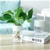 Not specified di Fiori 1pc Resina Self-Watering Traspirante