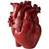 Vaso a Forma di Cuore Anatomico Stile Moderno Fioriera a Cuore Anatomico