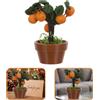 Piante in Vaso Di Argilla Micro Paesaggio Miniatura Pianta Arancio Finto
