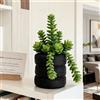 Tire Look per for MINI Piante Nero 7,5 x 7,5 x 7,7 cm Materiale Resina
