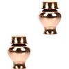 2 PCS Bottigliette Mignon Bottiglia Decorative Barattolo Di Stoccaggio