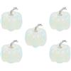 5 Count Zucche Decorative Zucchette Piccola Decorazione Di Zucca