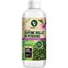 Kollant VerdeVivo Sapone Molle Di Potassio 1 Litro
