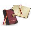 Noble Collection NBCNN7337 Harry Potter - Diario Grifondoro