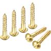 Viti a testa tonda in ottone (M3 x 16mm) 60 pz - per autofilettanti
