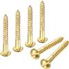 Viti a testa tonda in ottone (M3 x 25mm) 60 Pz - Autofilettanti per Slotted