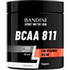 BCAA 8:1:1 Aminoacidi Ramificati 500 Compresse con Vitamine B1 e B6