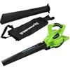 Greenworks Tools Aspiratore Soffiatore Foglie a Batteria 2 in 1 GD40BV, Li-Ion 4