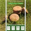 12 Blocchi Nutrienti Coir 5cm per Compostaggio Vermi e Mix Biochar