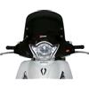 Faco Art. 28600 Parabrezza Cupolino per Honda Sh 125/150 anno 2012 + Attacchi