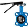 RIEGLER 103682-350.6050B - Valvola di arresto per flangia, DN 50, 1 pezzo