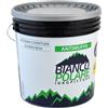 BIANCO POLARE PITTURA AL QUARZO ACRILICO ANTIMUFFA lt 14 - BIANCO POLARE