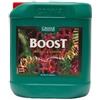 Canna Boost Accelerator 20L Stimolatore Fioritura Aumenta Resa Qualita Raccolto