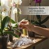 Supporti Trasparenti per Orchidee a Farfalla, vasi per orchidee - per casa