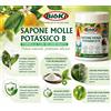 Bioki Sapone Molle Potassico B per afidi, tripidi, cocciniglie, lavafumaggine e melate