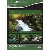 ‎Warner Press Warner Press Card-Boxed-Faithful Falls Assorted (Pack of 12)