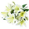 Bouquet Giglio Seta 7 Fiori 34cm con per decorazione Aspetto Naturale Com