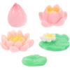 5 Pcs Accessori Per Il Giardino Delle Fate Miniature Case Bambole