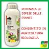 CIFO PROPOLI CIFO 1LT POTENZIA DIFESE DELLE PIANTE ORTO-FRUTTI-AROMATICHE-ORNAMENTALI