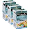 Sir Winston Tea, Ice Tea Nero Deteinato Pesca Mango, 54 Filtri (3 Confezioni da 18 Filtri), Gustoso e Dissetante, Ideale per Una Pausa Estiva, Senza Lattosio, Glutine e Allergeni